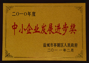 發(fā)展進(jìn)步獎(jiǎng)