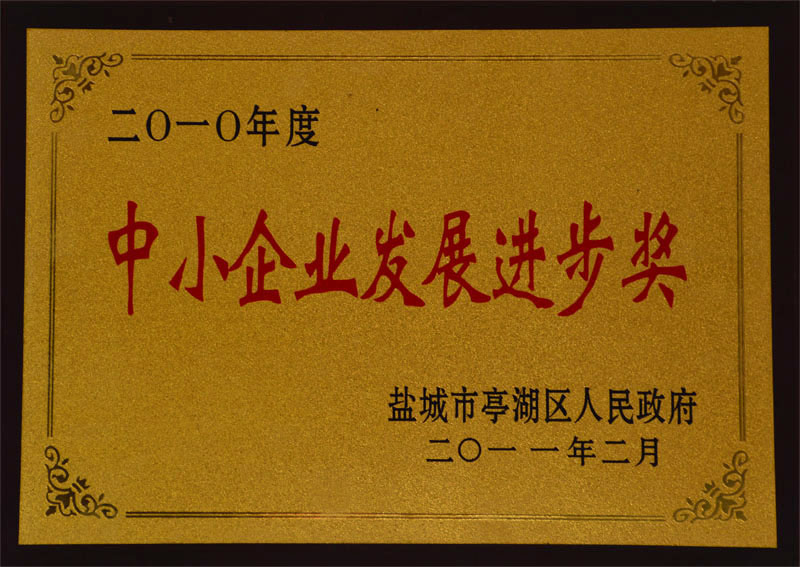 發(fā)展進步獎.jpg